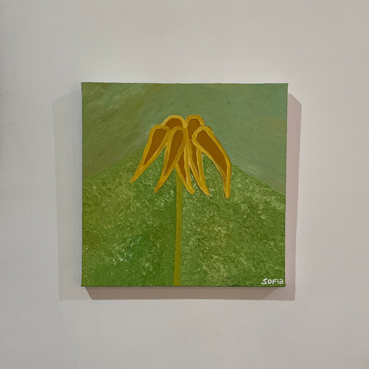 Flower IV