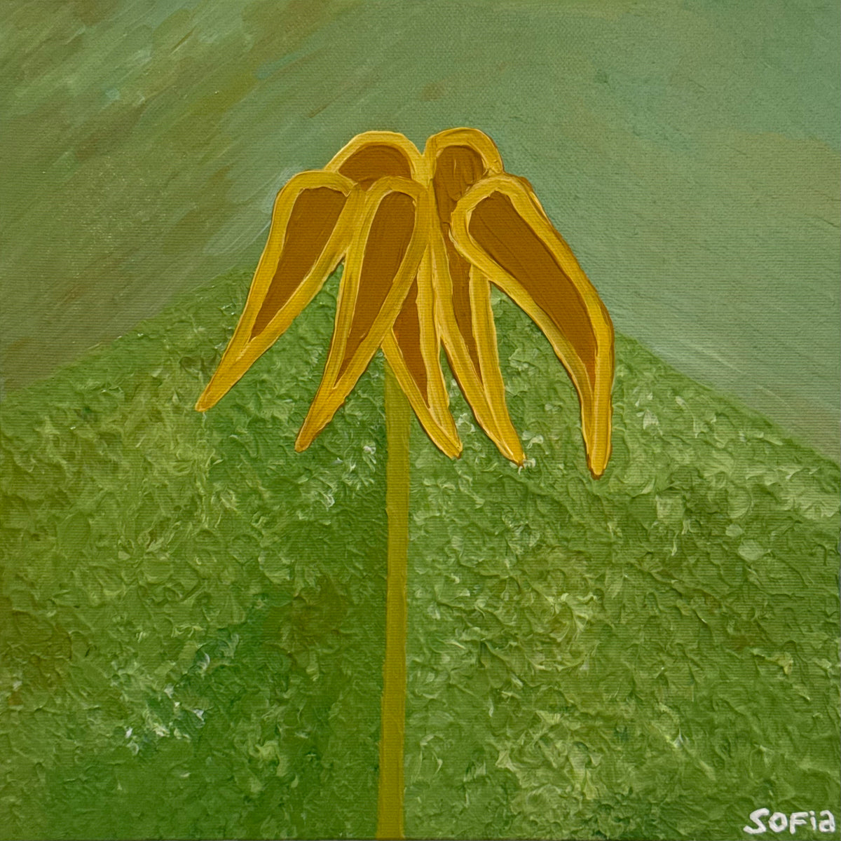 Flower IV